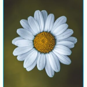 ΤΑ ΠΡΩΙΝΑ ΤΗΣ ΠΕΜΠΤΗΣ