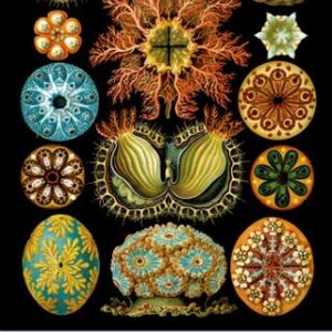 LOVECRAFT 10: Η ΟΝΕΙΡΙΚΗ ΑΝΑΖΗΤΗΣΗ ΤΗΣ AΓΝΩΣΤΗΣ ΚΑΝΤAΘ